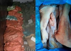 Khởi tố 18 người trong vụ vận chuyển hơn 5 tấn chân giò lợn qua biên giới