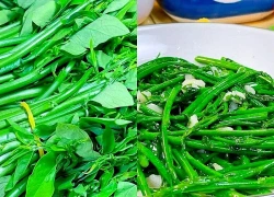 Loại rau thường chỉ nấu canh nhưng xào tỏi cực ngon, mùa hè đang nhiều mua ngay để thanh nhiệt giải độc, cực tốt cho cơ thể