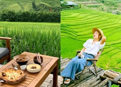 Những quán cà phê view cánh đồng gây sửng sốt ở Sa Pa