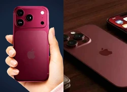 Những sản phẩm Apple có thể xuất hiện tại sự kiện tháng 9