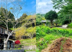 Vợ chồng Việt rời phố về ngoại ô Nhật, mua nhà cũ 6.600m2, sống 'thuận tự nhiên'