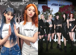 5 mỹ nhân bị ghét nhất showbiz "ngựa quen đường cũ"