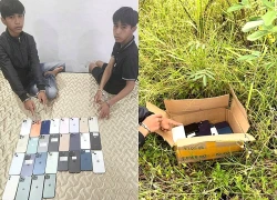 Anh em ruột trộm 27 điện thoại iPhone