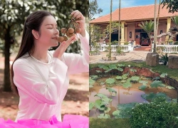 Biệt phủ 10.000 m ở quê của Lý Nhã Kỳ