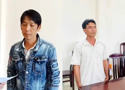 Cần Thơ: Khởi tố thêm 2 đối tượng thu mua heo bệnh, heo chết đưa đi giết mổ