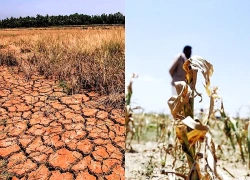 Malaysia đối mặt nguy cơ El Nino cường độ mạnh gây khô hạn và khói bụi