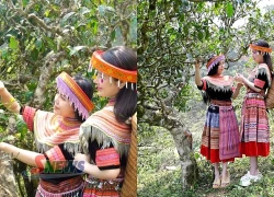 Tà Xùa sẵn sàng đón khách kỳ nghỉ lễ 2/9