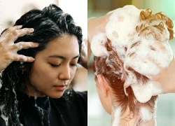 Thường xuyên đổi dầu gội có gây rụng tóc?