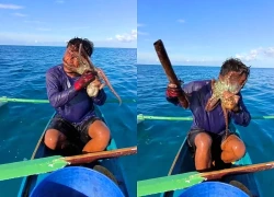 Vừa kéo loài sinh vật lên khỏi mặt nước, ngư dân gặp sự cố không ai ngờ tới