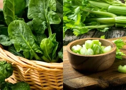4 loại rau xanh quen thuộc giúp bữa ăn lành mạnh, hỗ trợ sức khỏe lá gan