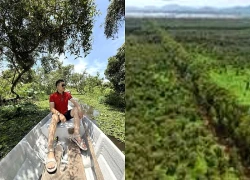 An Giang: Rừng tràm Trà Sư miền xanh kỳ thú giữa vùng Bảy Núi