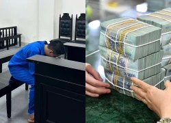 Chủ tịch công ty lừa từ nhân viên tới khách hàng, chiếm đoạt gần 10 tỷ đồng
