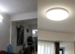 Đèn tuýp huỳnh quang từng là lựa chọn quen thuộc của mọi nhà nhưng nay dần bị thay thế bởi 2 kiểu đèn này