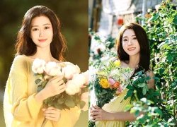 Đúng ngày mai, thứ Bảy 22/8/2026, Thần Tài báo mộng vàng son, 3 con giáp sự nghiệp lên cao 'như diều gặp gió', trả triệt để nợ nần, tiền tài muốn nghèo cũng khó