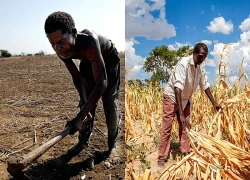 El Nino có thể mạnh kỷ lục, đe dọa 'phủ bóng' lên kinh tế toàn cầu