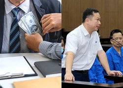 Giám đốc công ty luật môi giới hối lộ hơn 11 tỷ đồng, hưởng lợi quá nửa