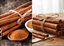 Người bệnh đái tháo đường có nên dùng quế để hỗ trợ hạ đường huyết?