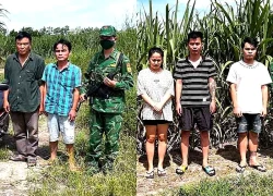 Phát hiện 5 người nhập cảnh trái phép ở Tây Ninh