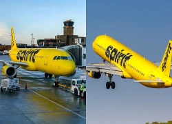 Tòa án Mỹ hoãn phê duyệt thương vụ Google mua dữ liệu của Spirit Airlines