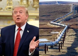 Tổng thống Trump muốn hồi sinh dự án đường ống dẫn dầu từng gây tranh cãi