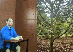 Truy tố kẻ tự ý bán vườn sầu riêng của người khác, chiếm đoạt hơn 6 tỷ đồng
