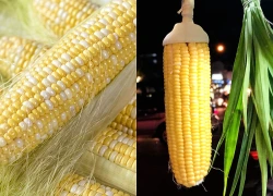 Hai phần bổ dưỡng của bắp ngô hay bị bỏ đi