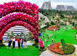 Lễ hội hoa FLC Quy Nhơn 2026 có gì đáng xem?