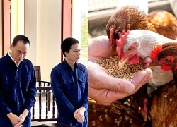 Quản lý bắt tay thủ kho "tuồn" hơn 86 tấn thức ăn chăn nuôi ra ngoài