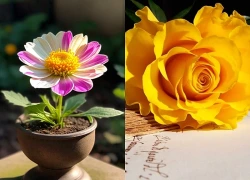 Qua rồi khốn khó, 3 con giáp được Quý Nhân dẫn đường, phất lên chóng mặt, TIỀN CỦA tề tựu đầy nhà chật két trong 99 ngày tới