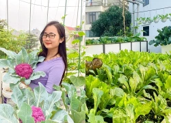 4 loại rau dễ trồng nhất tháng 8 này