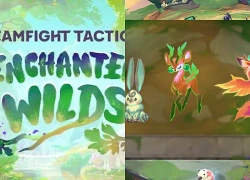 5 mẹo cực hay, giúp anh em game thủ luôn chiến thắng trong 5 game đầu mùa Đấu Trường Chân Lý 18!