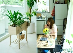 Bà mẹ nội trợ Nhật Bản chia sẻ ngôi nhà khiến nhiều người mê mẩn: Hạnh phúc đôi khi chỉ là được sống giữa những thứ mình thật sự yêu