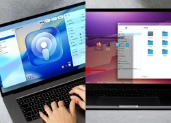 Cách tùy biến giao diện Liquid Glass trên MacBook Neo tiện lợi