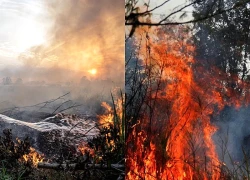 Khói mù bao trùm nhiều khu vực Indonesia giữa tâm điểm cháy rừng