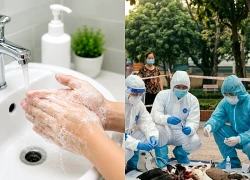 Mỗi người cần làm gì để phòng ngừa các bệnh truyền nhiễm mới nổi?