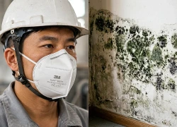 Môi trường sống ẩm thấp làm tăng nguy cơ mắc những bệnh nào?