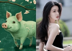 Tử vi 12 con giáp ngày 27/8: Hợi độc thân gặp được nửa kia như ý
