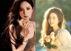 Tử vi thứ Sáu 28/8/2026 của 12 con giáp: Dần - Ngọ tiền bạc rủng rỉnh, sự nghiệp thăng tiến vùn vụt, Mão - Thân vận trình ảm đạm, công việc trắc trở muôn phần