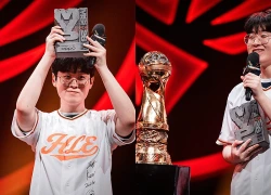 Zeus nhắc lại trải nghiệm đáng buồn tại MSI 2026