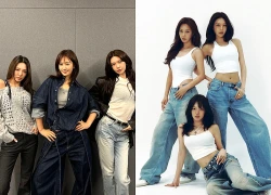 3 mỹ nhân tung chiêu làm náo loạn showbiz, "trò đùa" đẳng cấp 20 năm chuẩn "gừng càng già càng cay"!