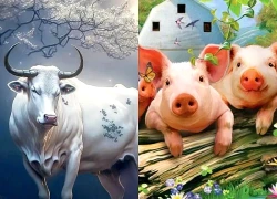 4 con giáp sinh ra đã giàu phúc khí, người được hưởng phú quý, người lại miệt mài lo cho cả gia đình