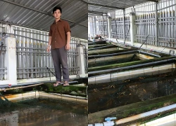 Bỏ việc lương hơn 20 triệu, chàng trai về quê 'giải cứu' đàn lươn của gia đình