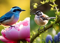 Bước qua tháng 9 dương lịch, 3 con giáp Cát Tinh chiếu rọi,THÀNH CÔNG KÉO ĐẾN, chạm tay vào may mắn, năng lượng giàu có vây quanh