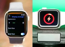 Đeo Apple Watch cả ngày lẫn đêm không lo hết pin với những mẹo đơn giản