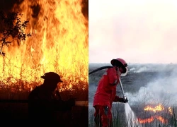 Indonesia huy động hàng trăm quân nhân ứng phó cháy rừng, phục hồi hệ sinh thái