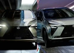 Lexus nâng cấp lớn cho dòng SUV chủ lực