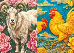 Lời khuyên cho 12 con giáp từ nay đến hết tháng 7 Âm lịch