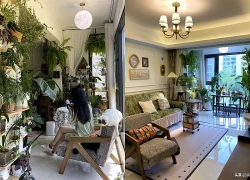 Ngôi nhà "ngập tràn cây xanh" của cô gái trẻ gây sốt: Gần 100 chậu cây phủ kín phòng khách và ban công, càng nhìn càng thấy thư thái