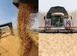 Radar trở thành 'mắt thần' giúp Trung Quốc bảo vệ cây lương thực