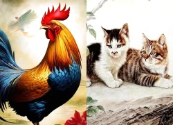 4 con giáp thành công muộn nhưng hậu vận đáng mơ ước: Sau trung niên tiền bạc tăng, nhà cửa ổn, sự nghiệp vững
